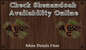 check availability